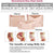 Postpartum Belly Recovery Girdle - Gloge Store